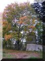 2004-11-07 Etampes 32.jpg